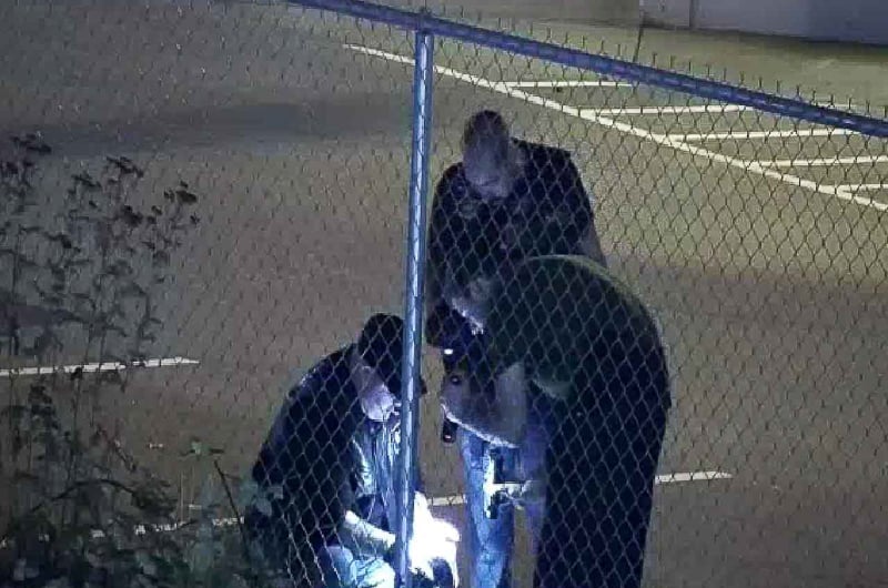 2018-09-26_1113_crop