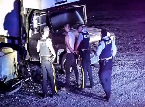 2020-03_Apprehension E